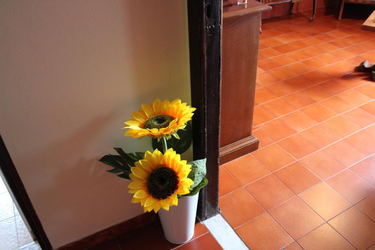 Casa Vacanze Da Mari Poggio  Eksteriør billede